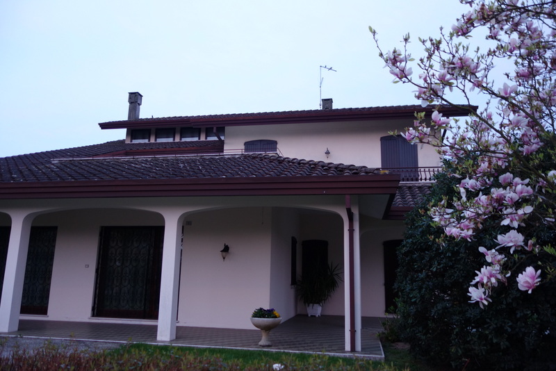 c0216472_12595248.jpg