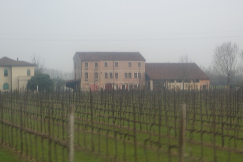 c0216472_1351536.jpg