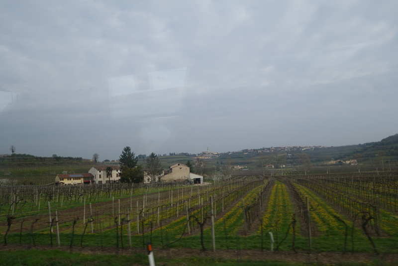 c0216472_1371066.jpg