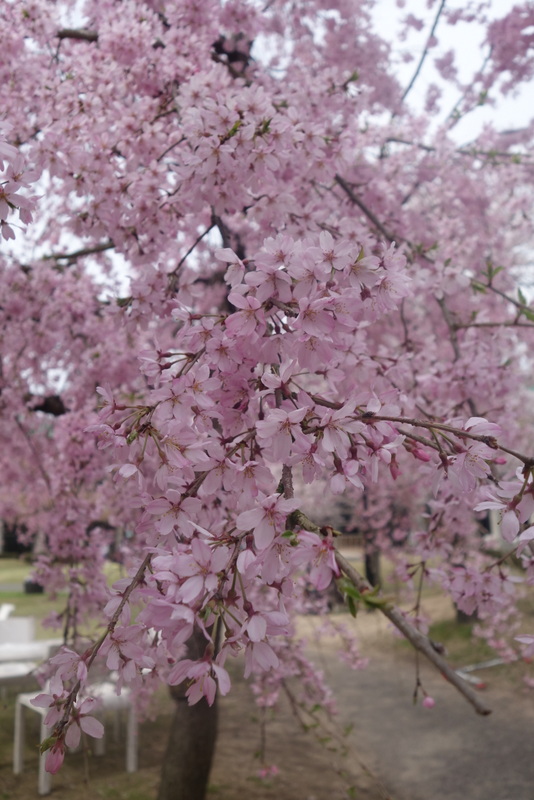 c0216472_20323950.jpg
