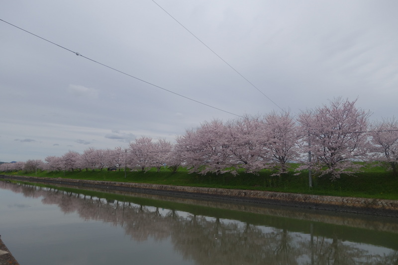 c0216472_2034390.jpg