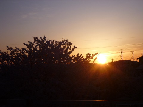 e0161972_8254593.jpg
