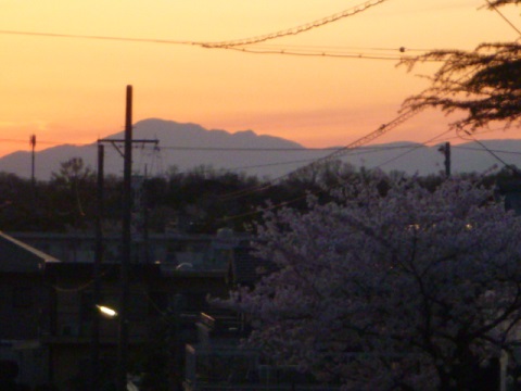 e0161972_86454.jpg