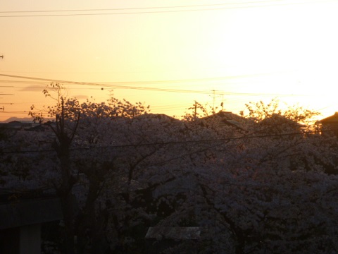 e0161972_891285.jpg