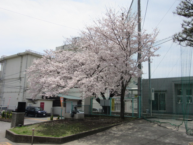 d0109373_1891168.jpg