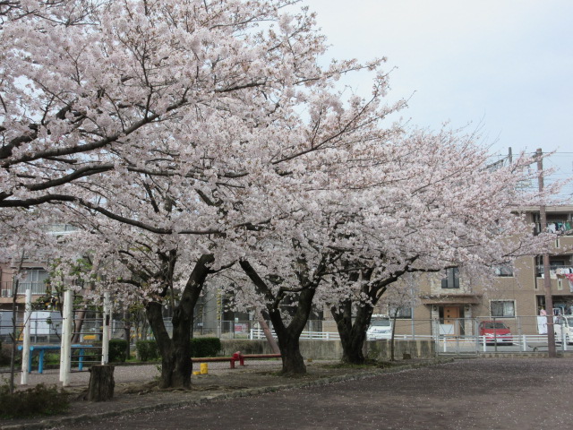 d0109373_1895591.jpg