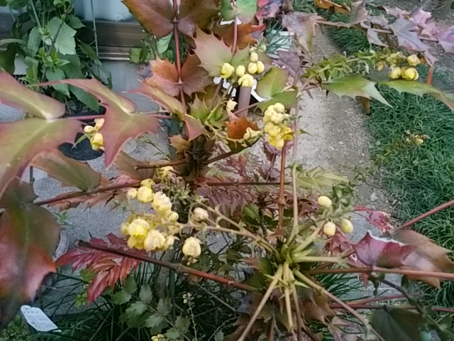 f0153475_1743568.jpg
