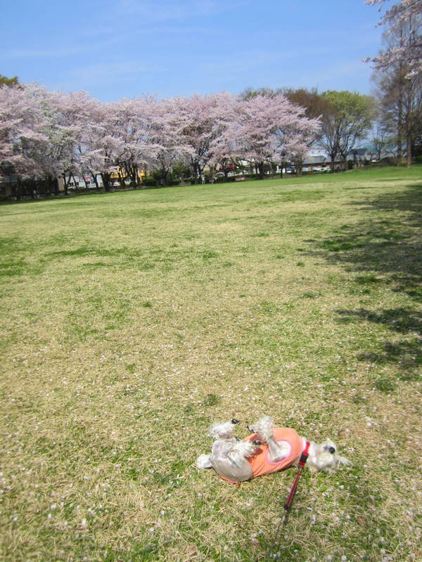 d0264176_19545162.jpg