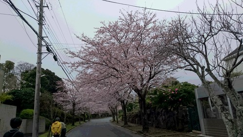 e0165577_935232.jpg