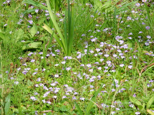 f0054677_07090063.jpg