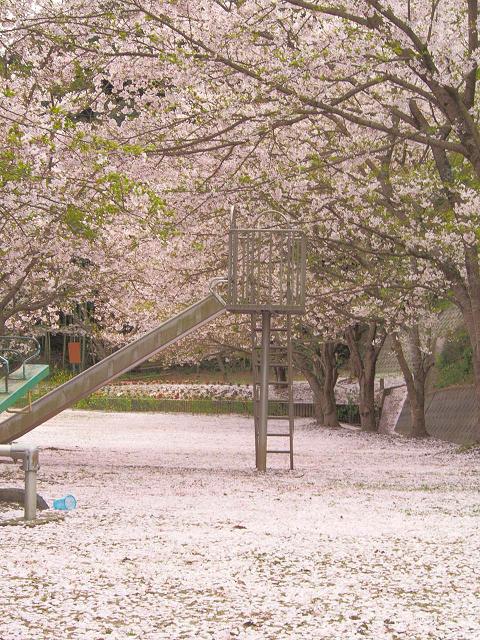 f0248782_10513191.jpg