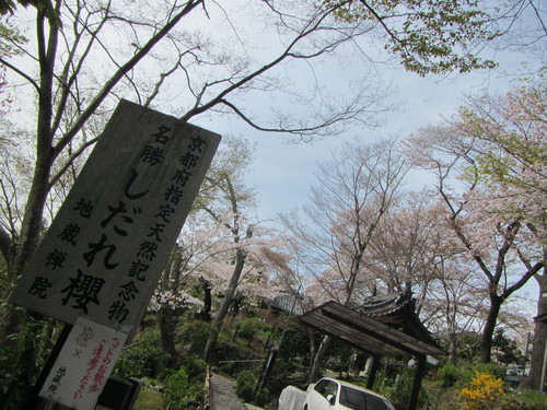 a0251786_23275814.jpg