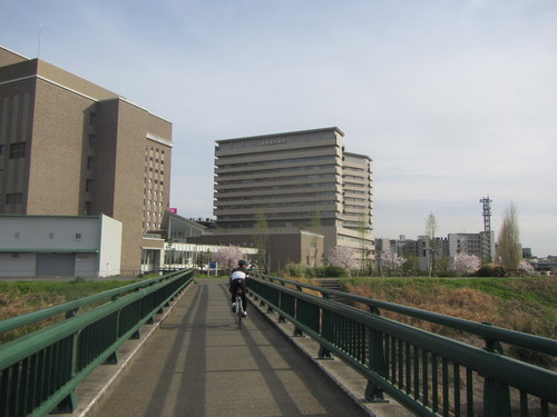 a0251786_23392027.jpg