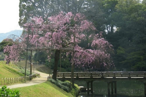 e0357387_23365221.jpg