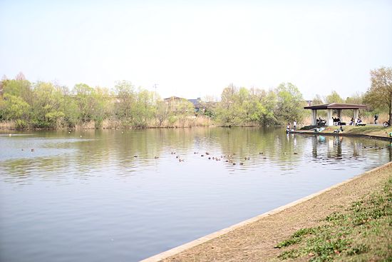 c0090198_20251576.jpg