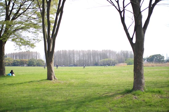 c0090198_20351778.jpg