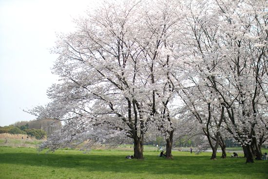 c0090198_20354320.jpg