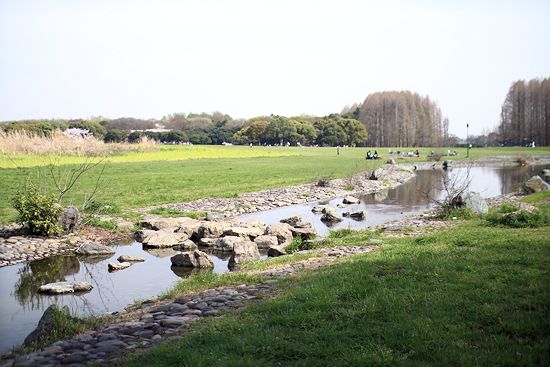 c0090198_203645.jpg