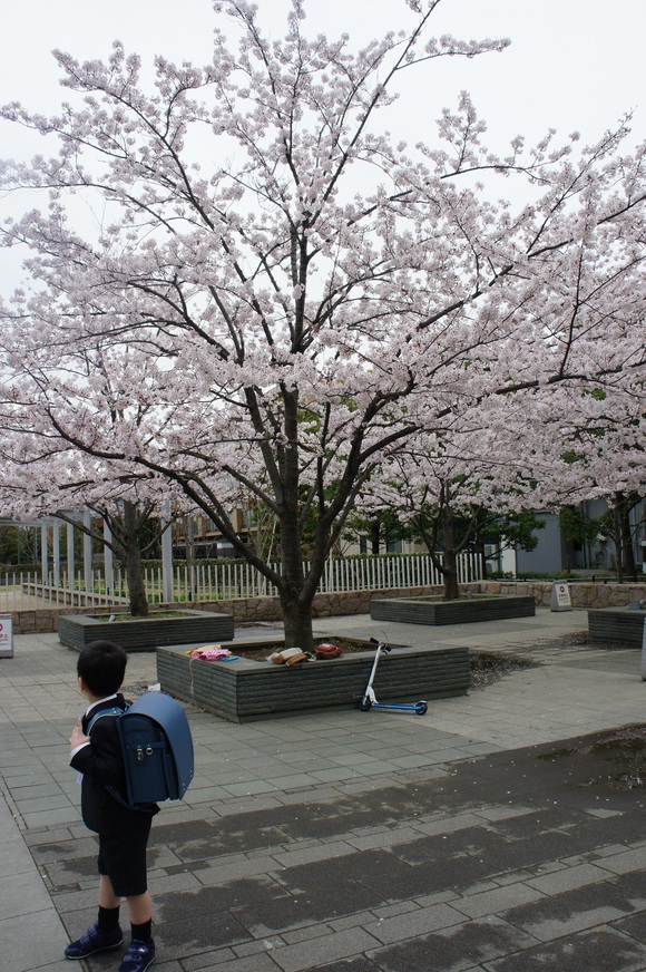 d0143098_8103657.jpg