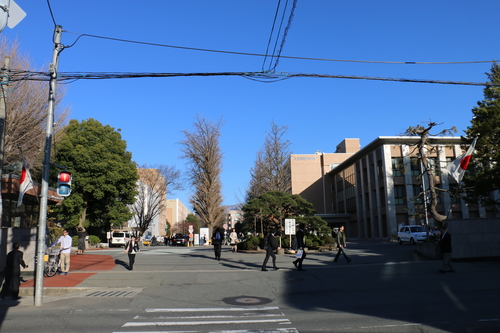 c0075701_2043534.jpg