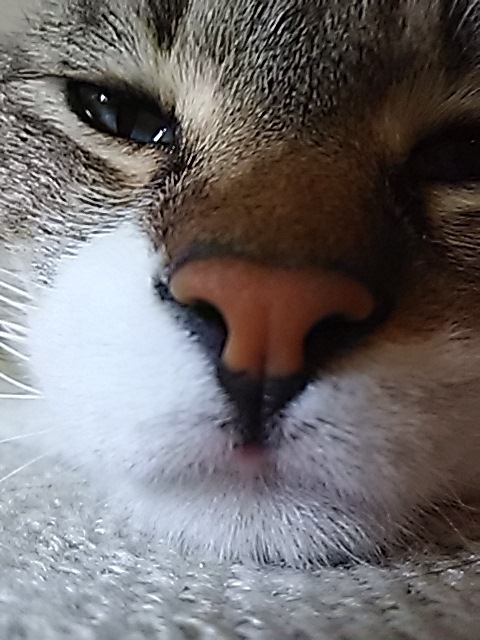f0316507_21243889.jpg