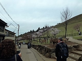 d0007913_14522585.jpg