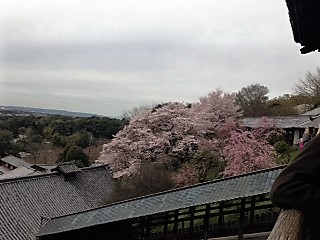 d0007913_14525966.jpg