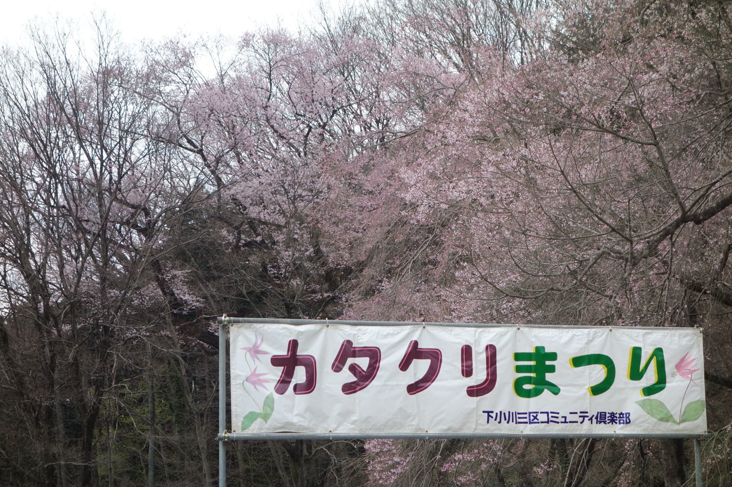 f0133213_20484440.jpg