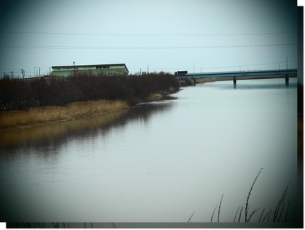 a0114514_20203468.png