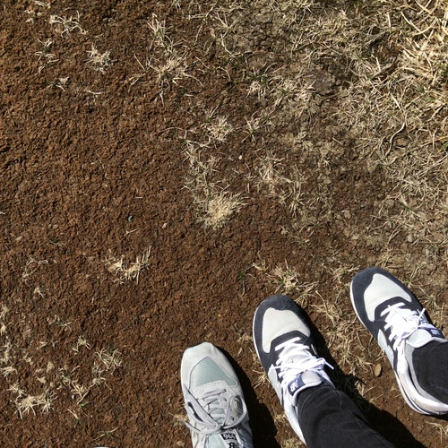 e0052716_13201925.jpg