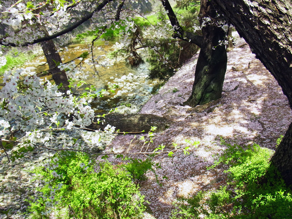 e0083517_04055400.jpg