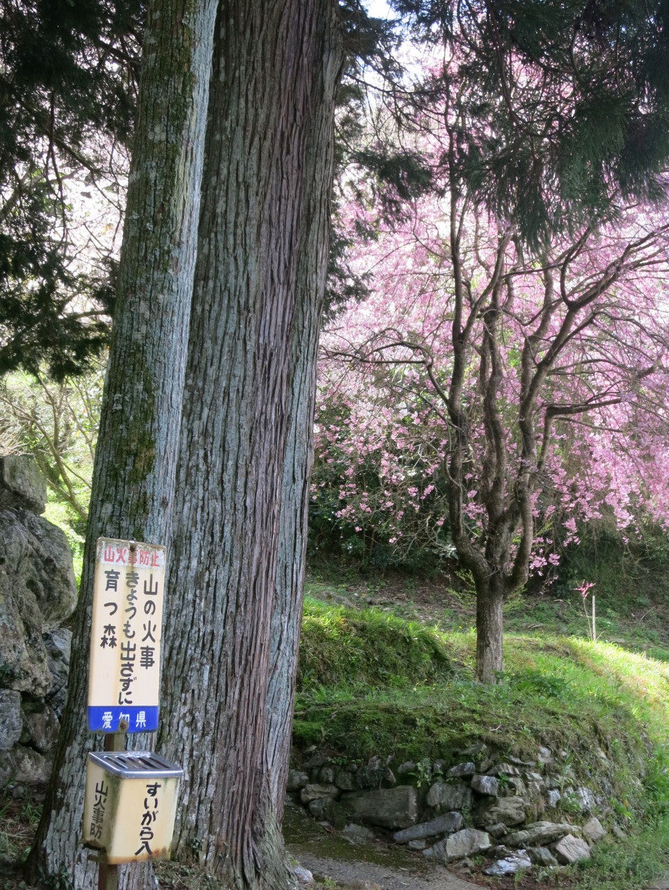 b0139518_1457281.jpg