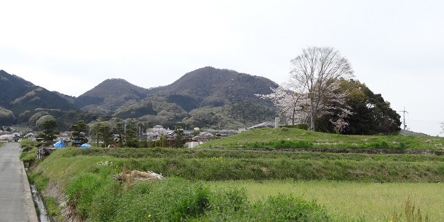 f0000521_08211833.jpg