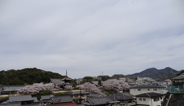 f0000521_08314699.jpg