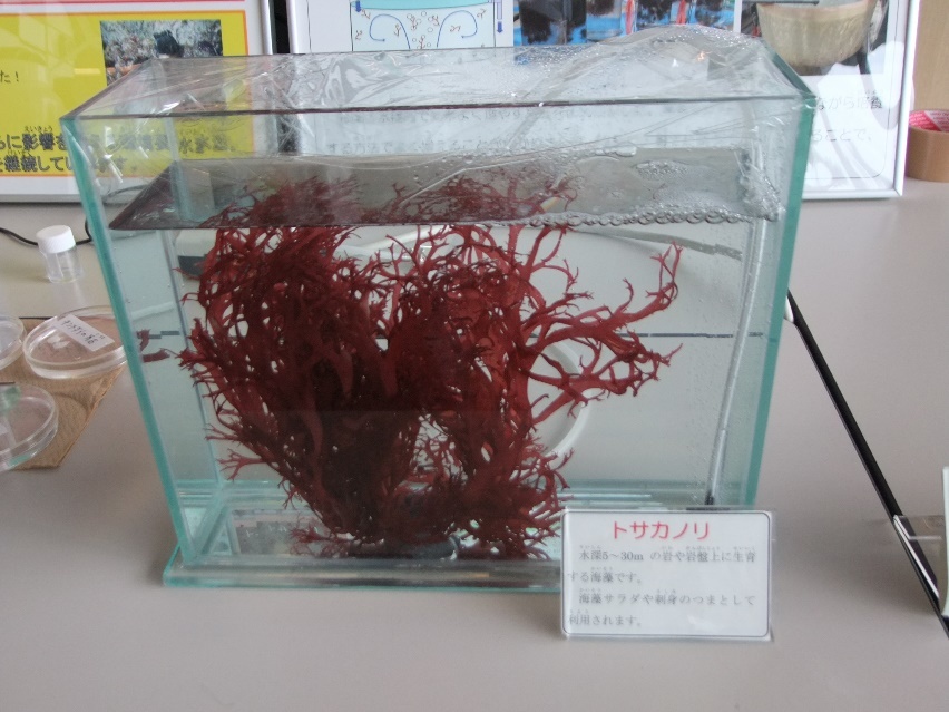 f0000521_15230141.jpg