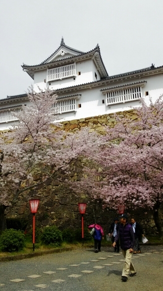 b0186522_22534256.jpg