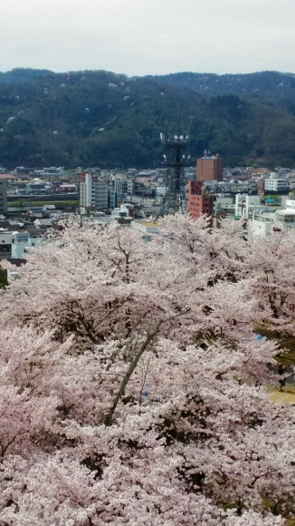 b0186522_22534540.jpg