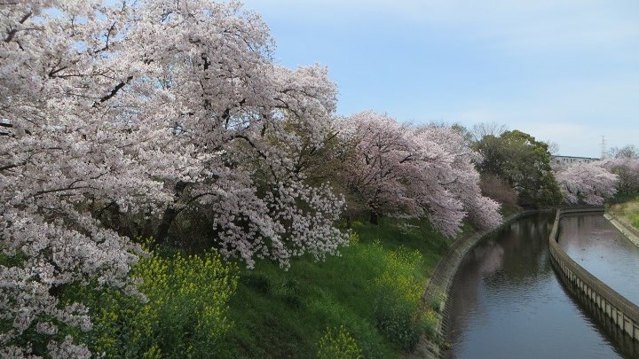 c0280322_10495946.jpg