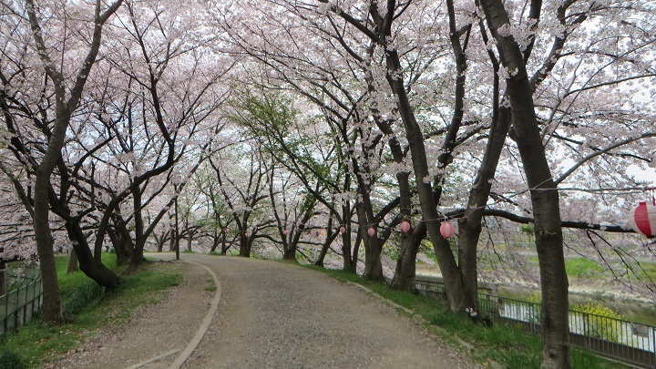 c0280322_10511686.jpg