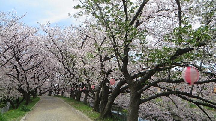 c0280322_10514397.jpg