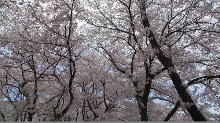 c0280322_10522380.jpg