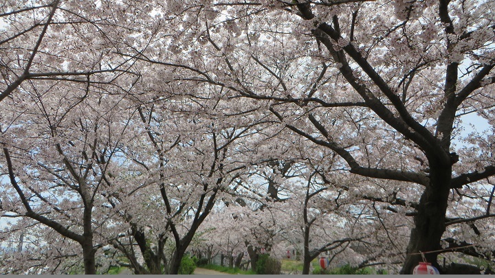 c0280322_10542950.jpg