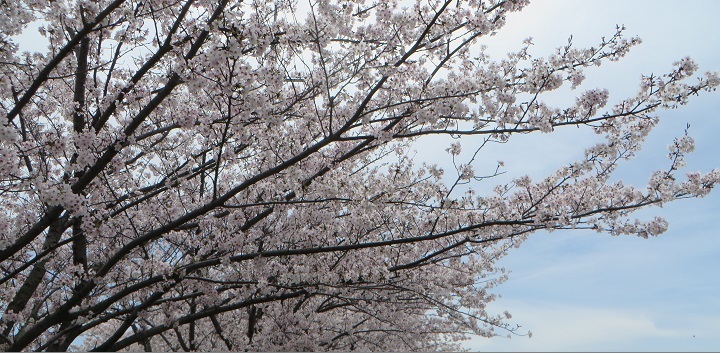 c0280322_10550157.jpg