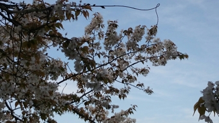 b0259124_06344422.jpg