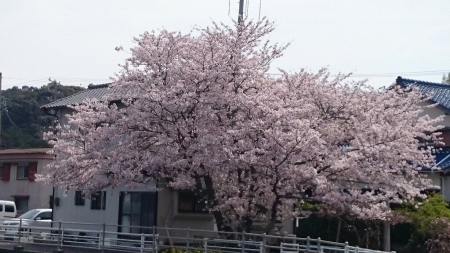 b0259124_06344764.jpg