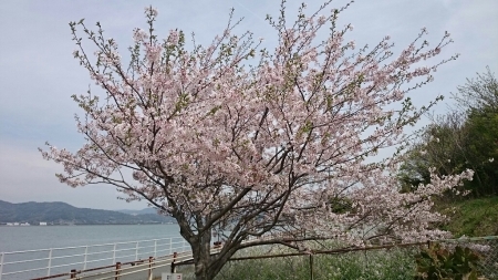 b0259124_06345470.jpg