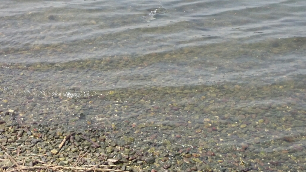 b0259124_06345798.jpg