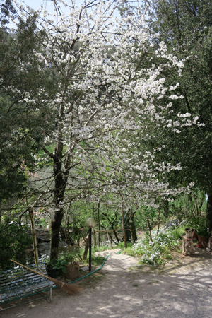 f0234936_732763.jpg