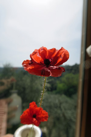 f0234936_733489.jpg