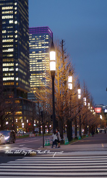 a0255040_23151199.jpg